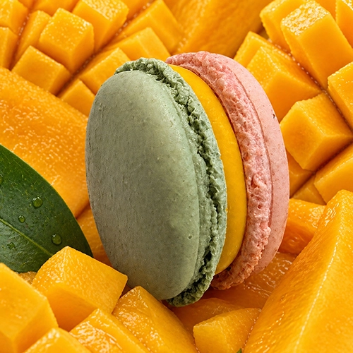 Mangue