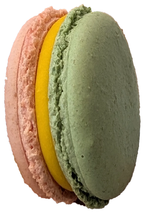 Mangue